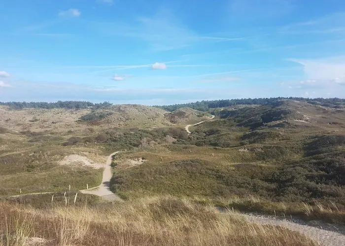 Mooi Zo 1 * 德科赫